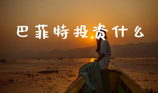 巴菲特投资什么_https://m.fansifence.com_公募基金_第1张