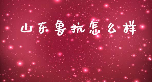 山东鲁抗怎么样_https://m.fansifence.com_公募基金_第1张