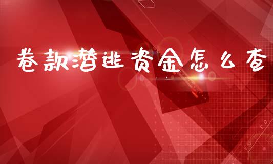 卷款潜逃资金怎么查_https://m.fansifence.com_公募基金_第1张