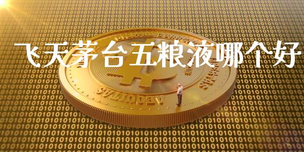 飞天茅台五粮液哪个好_https://m.fansifence.com_公募基金_第1张