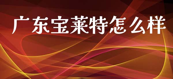 广东宝莱特怎么样_https://m.fansifence.com_公募基金_第1张