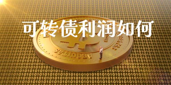 可转债利润如何_https://m.fansifence.com_消费金融_第1张