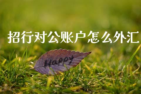 招行对公账户怎么外汇_https://m.fansifence.com_贵金属行情_第1张