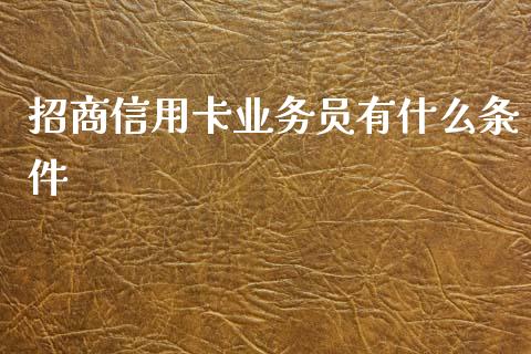 招商信用卡业务员有什么条件_https://m.fansifence.com_公募基金_第1张