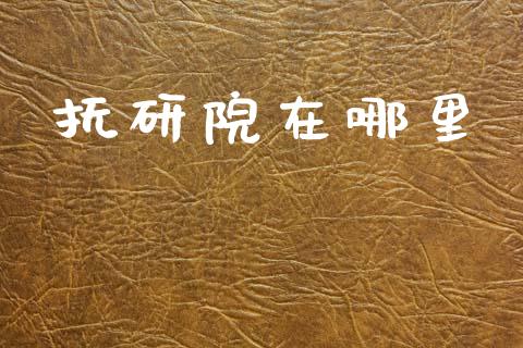 抚研院在哪里_https://m.fansifence.com_消费金融_第1张