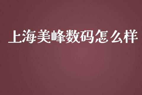 上海美峰数码怎么样_https://m.fansifence.com_公募基金_第1张