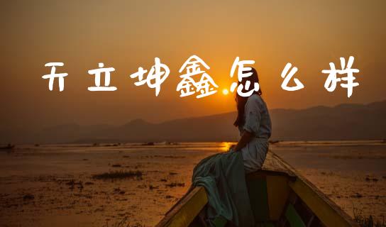 天立坤鑫怎么样_https://m.fansifence.com_消费金融_第1张