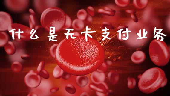 什么是无卡支付业务_https://m.fansifence.com_公募基金_第1张