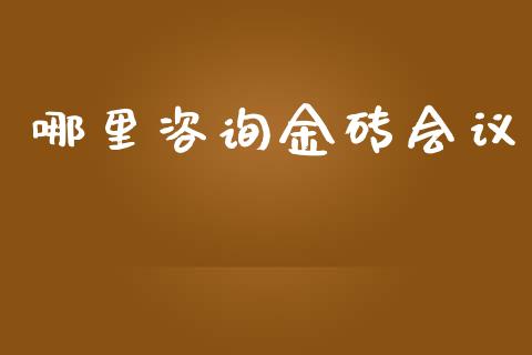 哪里咨询金砖会议_https://m.fansifence.com_消费金融_第1张