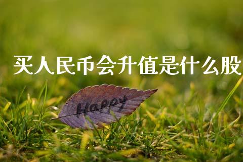 买人民币会升值是什么股_https://m.fansifence.com_贵金属行情_第1张
