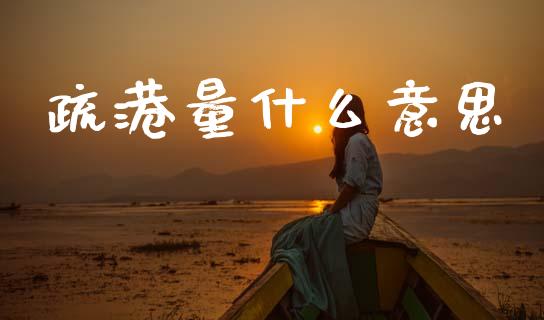 疏港量什么意思_https://m.fansifence.com_公募基金_第1张
