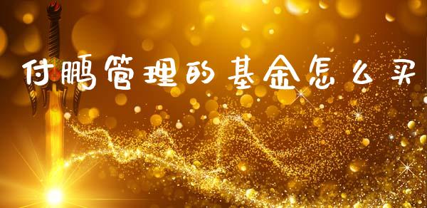 付鹏管理的基金怎么买_https://m.fansifence.com_个股行情_第1张