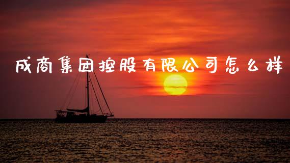 成商集团控股有限公司怎么样_https://m.fansifence.com_消费金融_第1张