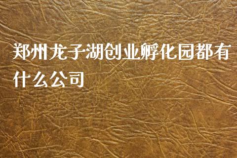 郑州龙子湖创业孵化园都有什么公司_https://m.fansifence.com_个股行情_第1张