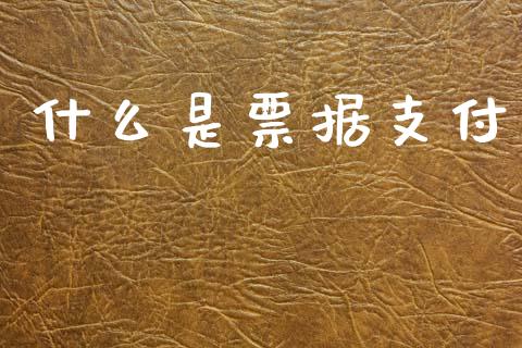 什么是票据支付_https://m.fansifence.com_贵金属行情_第1张