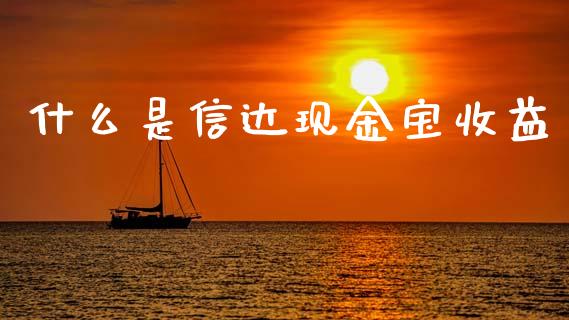 什么是信达现金宝收益_https://m.fansifence.com_消费金融_第1张