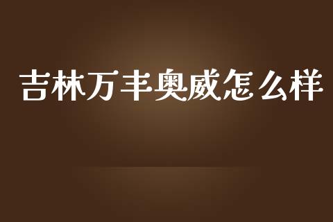 吉林万丰奥威怎么样_https://m.fansifence.com_消费金融_第1张