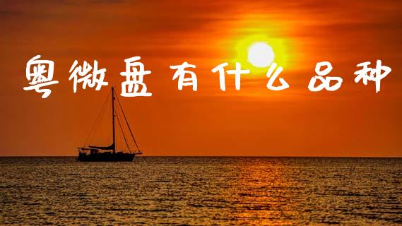 粤微盘有什么品种_https://m.fansifence.com_贵金属行情_第1张