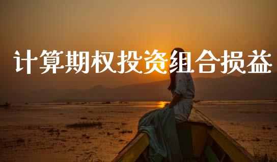 计算期权投资组合损益_https://m.fansifence.com_消费金融_第1张