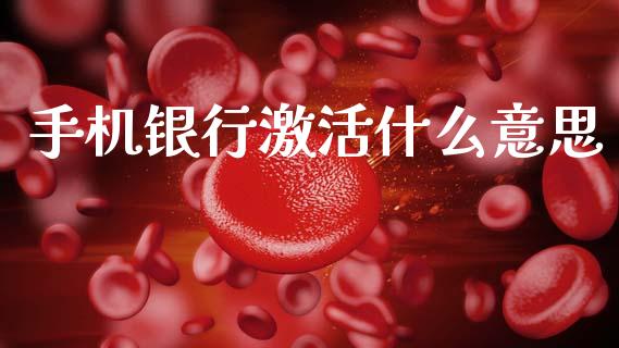 手机银行激活什么意思_https://m.fansifence.com_个股行情_第1张