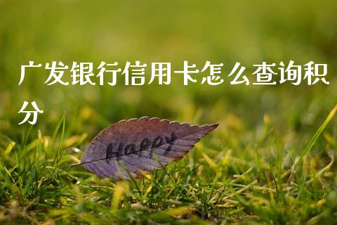 广发银行信用卡怎么查询积分_https://m.fansifence.com_贵金属行情_第1张
