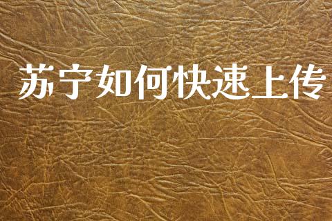 苏宁如何快速上传_https://m.fansifence.com_消费金融_第1张