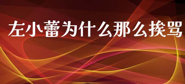 左小蕾为什么那么挨骂_https://m.fansifence.com_公募基金_第1张