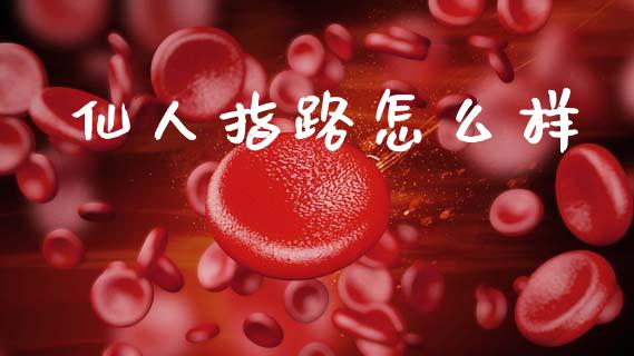仙人指路怎么样_https://m.fansifence.com_消费金融_第1张