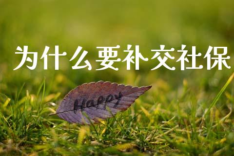 为什么要补交社保_https://m.fansifence.com_公募基金_第1张