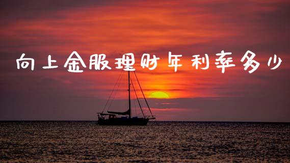 向上金服理财年利率多少_https://m.fansifence.com_公募基金_第1张