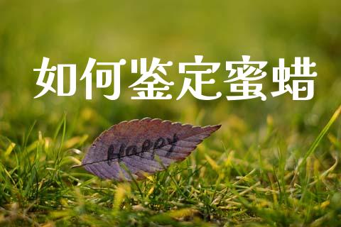 如何鉴定蜜蜡_https://m.fansifence.com_个股行情_第1张