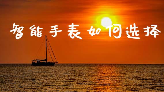 智能手表如何选择_https://m.fansifence.com_公募基金_第1张