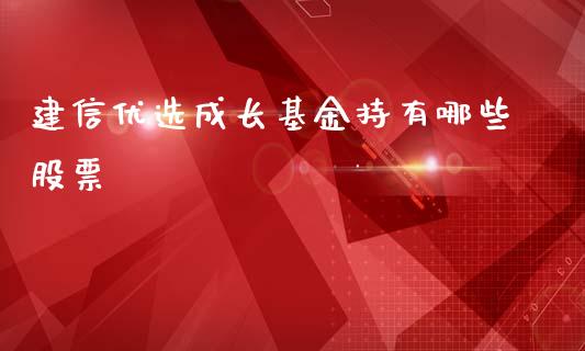 建信优选成长基金持有哪些股票_https://m.fansifence.com_公募基金_第1张