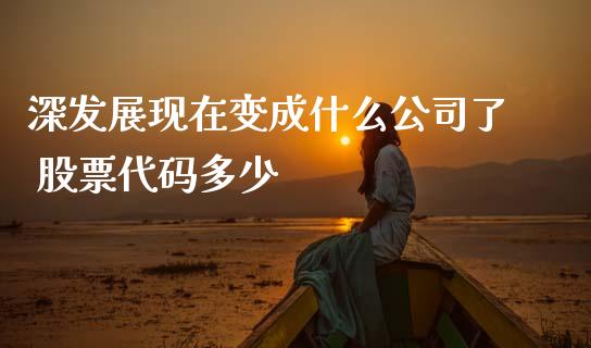 深发展现在变成什么公司了 股票代码多少_https://m.fansifence.com_消费金融_第1张