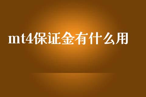 mt4保证金有什么用_https://m.fansifence.com_贵金属行情_第1张