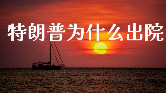 特朗普为什么出院_https://m.fansifence.com_公募基金_第1张