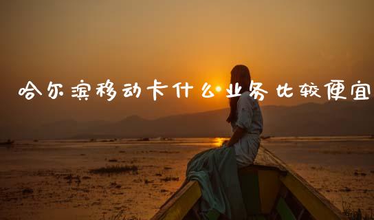 哈尔滨移动卡什么业务比较便宜_https://m.fansifence.com_个股行情_第1张