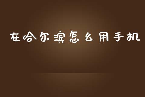 在哈尔滨怎么用手机_https://m.fansifence.com_贵金属行情_第1张
