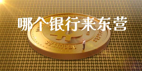 哪个银行来东营_https://m.fansifence.com_公募基金_第1张