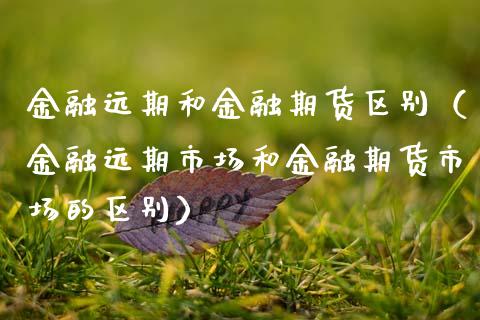 金融远期和金融期货区别（金融远期市场和金融期货市场的区别）_https://m.fansifence.com_贵金属行情_第1张