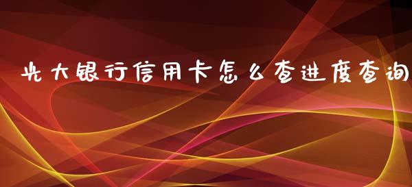 光大银行信用卡怎么查进度查询_https://m.fansifence.com_公募基金_第1张