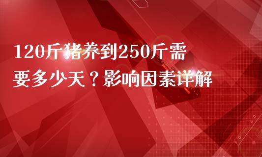 120斤猪养到250斤需要多少天？影响因素详解_https://m.fansifence.com_贵金属行情_第1张