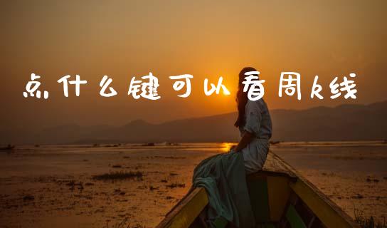 点什么键可以看周k线_https://m.fansifence.com_贵金属行情_第1张