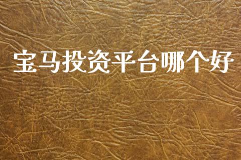 宝马投资平台哪个好_https://m.fansifence.com_个股行情_第1张