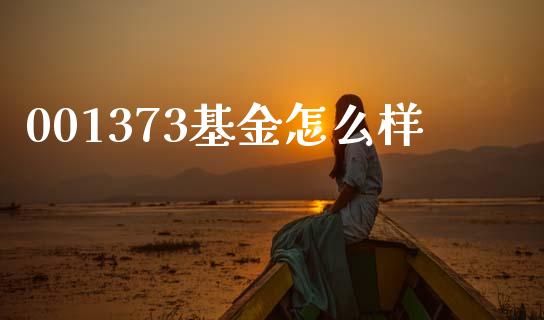 001373基金怎么样_https://m.fansifence.com_贵金属行情_第1张