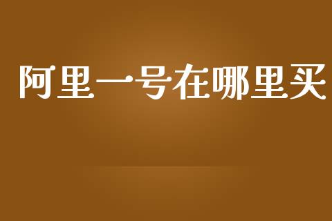 阿里一号在哪里买_https://m.fansifence.com_消费金融_第1张