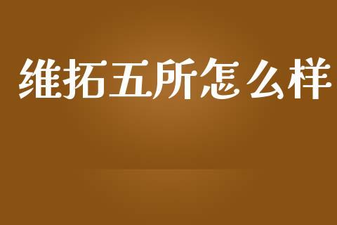 维拓五所怎么样_https://m.fansifence.com_公募基金_第1张