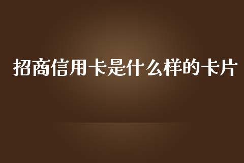 招商信用卡是什么样的卡片_https://m.fansifence.com_消费金融_第1张