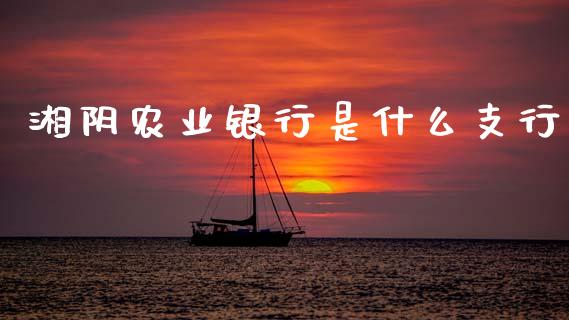 湘阴农业银行是什么支行_https://m.fansifence.com_个股行情_第1张