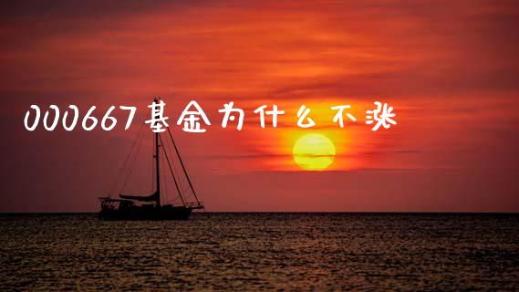 000667基金为什么不涨_https://m.fansifence.com_公募基金_第1张